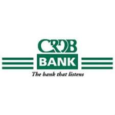 Job Opportunity At Crdb Bank Plc Director Of Internal Audit Job Opportunities Customer Insight Management Skills