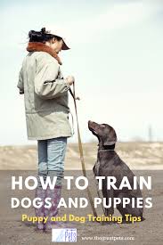 Puppy And Dog Training Tips And Tricks How To Guide In 2020 Dog Training Dog Training Tips Dog Behavior Training