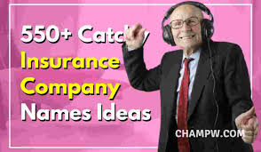 If you're starting a pet insurance business, you'll want your name to be easily recognizable, easy to pronounce, and memorable. 550 Creative Catchy Insurance Company Names Ideas