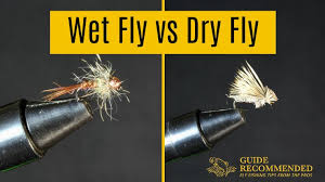 What Is The Difference Between A Wet Fly Vs Dry Fly Guide