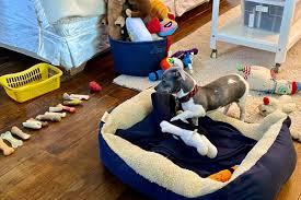 23,805 likes · 1,071 talking about this. Paw Patrol Dayton Ohio
