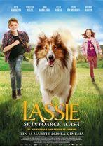 Hercule | desene animate dublate in limba romana(audio si video hd). Filme Familie Cinemagia Ro