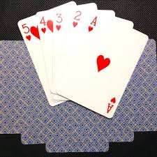 Remipoker merupakan situs remi poker resmi domino dan poker online, bandar remi poker telah hadir link alternatif remipoker untuk anda pecinta casino online. Kartu Remi Poker Flowers Crown Playing Cards Permainan Kartu Koleksi