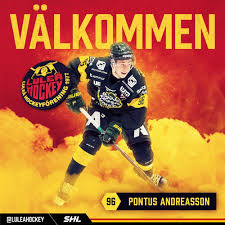 The playoffs began on 4 november 2014 and ended with the champions hockey league final on 3 february 2015. Lulea Hockey Presenterar 96 Munkedals Bk Svenskalag Se