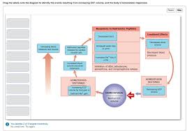 Solved Label The Events Resulting From Increasing Ecf Vol