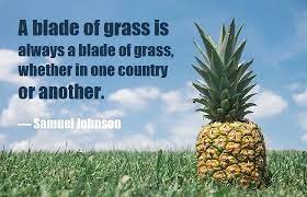 Apakah keriting, lurus atau bergelombang? Kata Mutiara Bahasa Inggris Tentang Rumput Grass Dan Artinya