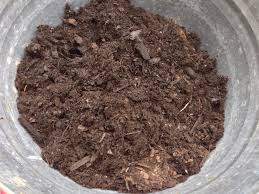 デンドロビウム＆コメリの腐葉土。 - 厓のぶどう畑 さん