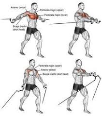 Maybe you would like to learn more about one of these? How To Cable Standing Flys How To Cable Standing Flys Chest Fly Workout Cable Workout Workout Plan Gym