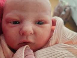 The Dispatch February 2025 by OneWatco