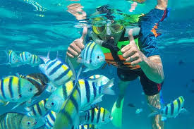 Snorkeling Vs Diving Ketahui 6 Perbedaan Berikut Pariwisata Sumut