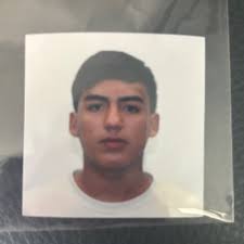 Browse Plus United States User Profiles Starting with D