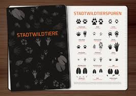 54 kostenlose bilder zum thema tierspuren. Spuren Archive Iris Luckhaus Illustration Design