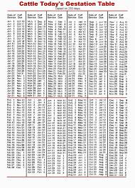 Gestation Table For Cattle It S Still A Good Estimate Even Though A Lowline S Gestation Period Is Only 270 Days Cattle Ranching Dairy Cattle Highland Cattle