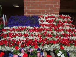 Red White And Blue Of Lobelia Alyssum And Petunia Blue Flowers Garden White And Blue Flowers Backyard Landscaping