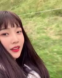 Kpop Joy Riding A Bull