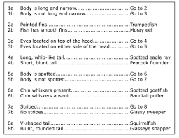 In order to do your best on the biology staar test, it is critical that you take the time to prepare and develop study skills. 2019 Staar Biology Exam Diagram Questions Only Flashcards Quizlet