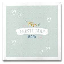 Maan Amsterdam Mijn Eerste Jaar Boek Mint Kopen Invulboekjes Nl