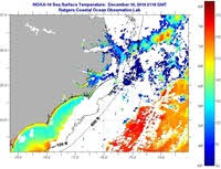 Sea Surface Temperature Imcs Coastal Ocean Observation Lab