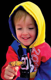 Summer Connections Program Brochure by mundeleinparks