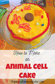 I used a 6 inch ball tin. How To Make An Animal Cell Cake In 10 Steps The Organized Homeschooler