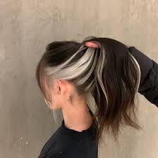 Mojka Hair On Instagram Done Today Mojkahairzetland Mojkahair Sydney Joicoaustralianz Hair Ha Aesthetic Hair Hair Color Underneath Hair Color Streaks