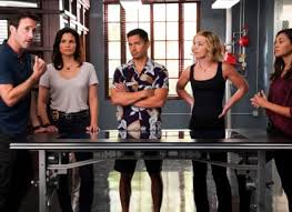 Thanks to the amazing talents of the producers, writers, cast and crew, it has played a key role for a decade on our schedule and helped. Hawaii Five 0 Season 10 Episode 12 Tv Fanatic