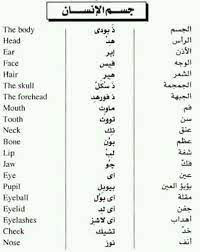 learning arabic msa fabiennem learn english words english vocabulary words english language learning grammar