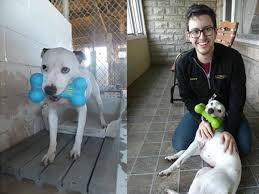 Meet ian & albany, a florida white & havana mix rabbit for adoption, at c.a.r.e. Rescue One