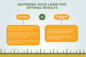 Encourage the growth of lush green grass with this foolproof first, learn how much water, in inches, your lawn needs a week. Watering Your Lawn How To Water Established Grasses New Seeds More Green Turf Care