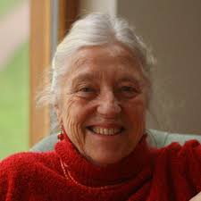 DHC 2022] Interview avec Juliet Mitchell, professeure émérite de  psychanalyse théorique et d'études sur le genre à l'Université de Cambridge  au Royaume-Uni