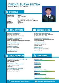 10 Contoh Cv Lamaran Kerja Yang Benar Menarik Dan Paling Sering Lolos Seleksi Mamikos Info Cv Kreatif Creative Cv Template Desain Resume