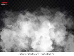 Fog Or Smoke Isolated Transparent Special Effect White Vector Cloudiness Mist Or Smog Background Vector Illustration Fog Vector Illustration Transparent