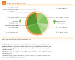 Maybe you would like to learn more about one of these? Bmel Bundeswaldinventur Title Bmel Federal Forest Inventory Spruce Pine Beech Oak The Most Common Tree Species