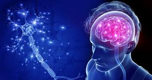Image result for brain computer interface