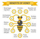 Image result for what are the health benefits of eating honey