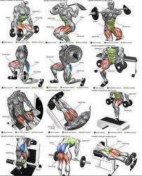 The quadriceps are the muscles at the front of the thigh, which act as the extensors of the leg. Mega Strong Legs Workout Yeah We Train Legs Mega Strong Train Workout Yeah Legs Workout Shoulder Workout Routine Leg Workout