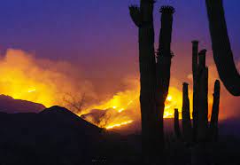 The high temperature in phoenix topped out above 90 degrees fahrenheit on tuesday for the thirteenth. More Evacuations Ordered As Bush Fire Swells To 65 000 Acres