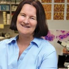 Carolyn Cray's Instagram, Twitter & Facebook