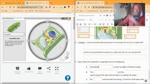 Apr 28, 2017 · with the right proteins embedded into the membrane, the liposome will merge will the membrane of a target cell, and deliver the medicine to the inside of the cell. Cell Structure Plant Vs Animal Cell Gizmo Explanation Youtube