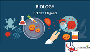 Contoh soal optik cermin dan lensa beserta jawabannya di bawah ini adalah beberapa latihan soal tentang materi optik kelas 8 semester genap yaitu pada lensa dan cermin beserta jawaban dan pembahasannya. 50 Soal Sel Dan Organel Pilihan Ganda Dan Jawaban