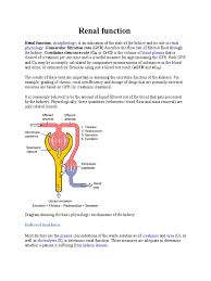 Image result for Renal Function