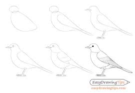 Bird With Wings Spread Drawing Easy Image Result For How To Draw A Bird Bird Drawings Bird Line Drawing Step By Step Drawing
