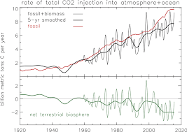 nurturing natural carbon sinks