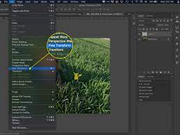 Check spelling or type a new query. How To Resize A Layer In Photoshop