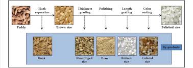 Flow Chart Of Milling Process From Paddy Rice To Polished