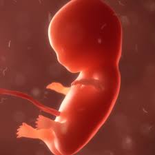 هل يتغير نوع الجنين أثناء الحمل - 19.04.2022, سبوتنيك عربي