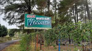 Pdf | kesepuluh tips fasilitasi pembangunan hutan desa di kabupaten bantaeng ini mesti dilihat melalui hutan desa. Woodland Kuningan Objek Wisata Kekinian Youtube