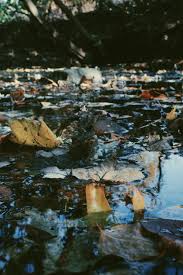 You might reason that after seeing this sort of grotesque image, more and more people will agree that revolutionary methods of dealing with this situation and others like it are needed. Water Pollution Pictures Download Free Images On Unsplash