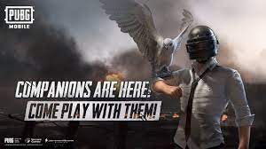 Pubg Mobile How To Get Flacon Companion Bird Pet Touch Tap Play