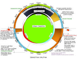 dinacharya ayurveda sanskrit diagram